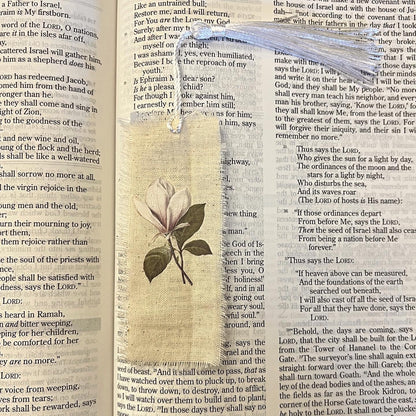 Bookmarks ~ Linen