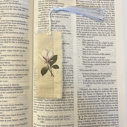 Bookmarks ~ Linen